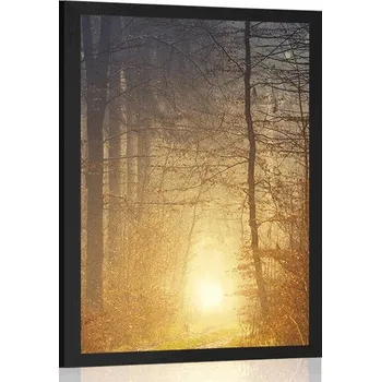 Plakát Dovido Plakát světlo v lese