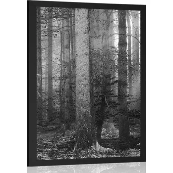 Plakát Dovido Plakát tajemství lesa v černobílém provedení