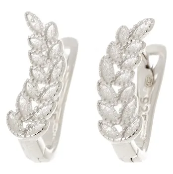 Náušnice Dámské stříbrné naušnice STNAU1283F