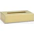Box na kapesníky Andrea House BA69326 26 x 12 x 7 cm zlatý