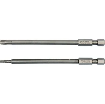 Sada nářadí Sada bitů 1/4" 2 ks TORX L=100 mm T10, T25