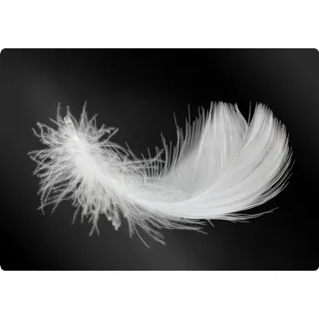 Podložka pod nábytek Podložka pod kancelářskou židli bílé pírko