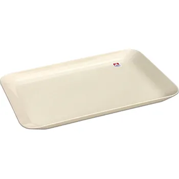 PETRAplast Plastový podnos obdélník 29 x 19 cm Barva: Světle modrá