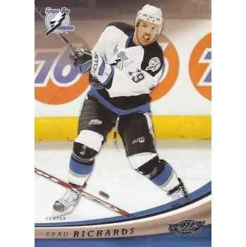 Sběratelská karetní hra řadová karta BRAD RICHARDS 06-07 Power Play číslo 88