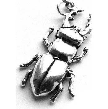 Přívěsek Stříbrný přívěsek brouk roháč - P420 (Stříbrný přívěsek brouka roháče)