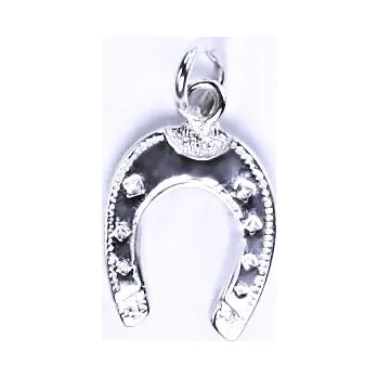 Přívěsek Stříbrný přívěsek podkova - P10 (Stříbrný přívěsek podkova)