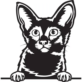 Vsepropejska Javánská kočka dřevěná dekorace na zeď Rozměr (cm): 38 x 37