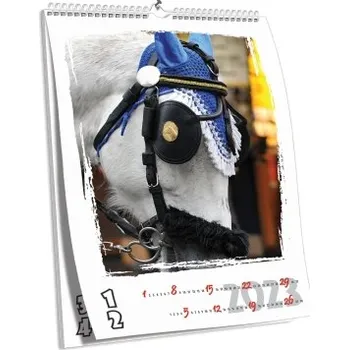 Fotokalendář Nástěnný kalendář NKN-124 (A4)