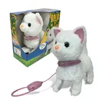 Sparkys Kočka Bela na vodítku