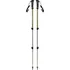 Trekingová hůl Black Diamond Trail Explorer 3 Burnt Olive 90-130 cm