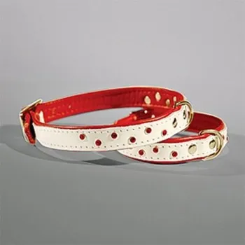 Obojek pro psa Tlapka obojek Swarovski Magnetism - červený křišťál Velikost: XL