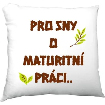 Polštář Polštář saténový s potiskem Polštář "Maturitní práce"