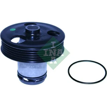 Chladič motoru Vodní čerpadlo, chlazení motoru Schaeffler INA 538 0411 10