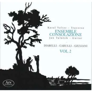 Zahraniční hudba CD Karel Valter: Diabelli - Carulli - Giulianii: Vol 2 2018