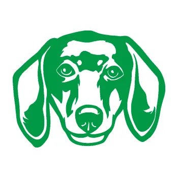 Polep vozidla Pes 180 pravá jezevčík (12 - zelená) SAMOLEPKA NA AUTO, NÁLEPKA, FÓLIE, POLEP, TUNING, VLASTNÍ TEXT, TISK, AUTOSAMOLEPKY.cz, POLEPY, OBRÁZEK, LOGO, 3D STICKERS