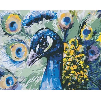 Zuty - Malování Podle Čísel - Páv, 40X50 Cm, Plátno