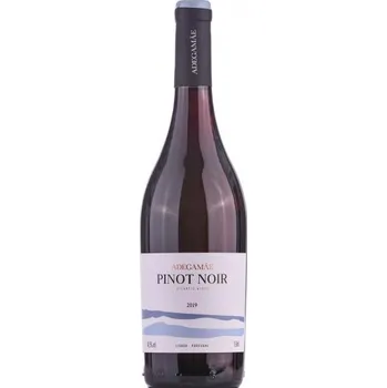 Pinot Noir 2019 vinařství Adega Mãe Portugalsko - IG Lisabon