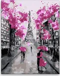 Malujsi Růžovočerná Paříž 40 x 50 cm…