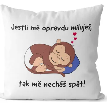 Polštář Polštář 40 x 40 cm - Nechej mě spát