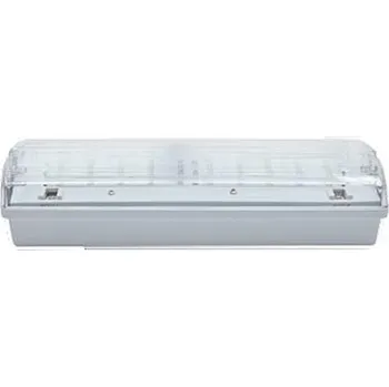 Svítidlo NBB CARLA 30 LED 3h DP IP65 910102000