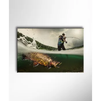 Obraz Malvis ® Obraz Rybář a pstruh ROZMĚR (šířka x výška): jednodílný obdélník 60x40 cm