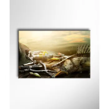 Obraz Malvis ® Obraz Zdolaný candát ROZMĚR (šířka x výška): jednodílný obdélník 60x40 cm