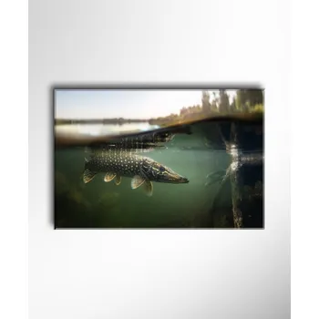 Obraz Malvis ® Obraz Štika pod vodou ROZMĚR (šířka x výška): jednodílný obdélník 60x40 cm