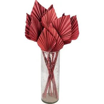 Bytová dekorace Vínová kytice sušené palmové listy - 55 cm (12ks)