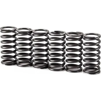 Spojková sada Pružiny spojky sada MOTION STUFF STF-501-5017