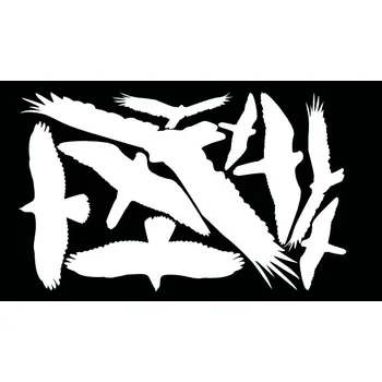 Odpuzovač zvířat HARMONY bílé siluety dravce ARCH 9 ks - samolepící fólie