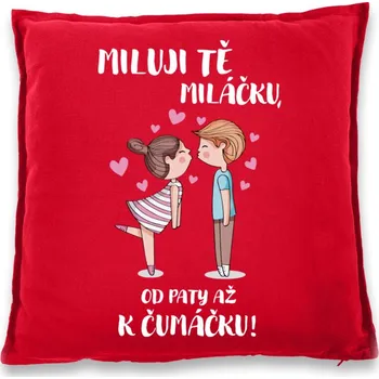 Dekorativní polštářek Polštářek pro zamilované - Miluji tě miláčku, Barva Červená, Velikost 40×40 cm, Canvas Bavlněný polštář Bezvatriko.cz 0934 - 1x