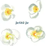 Vladimír Javorský : Ještě je LP