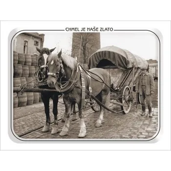 Plechová cedule Plechová pivovarská tabulka Valaši 420 x 297 mm