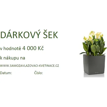 Dárkový potravinový koš Lechuza Dárkový šek 4 000Kč