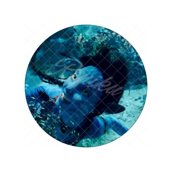 Jedlá dekorace na dort AVATAR 2 v moři, VARIANTA Jedlý papír 1616