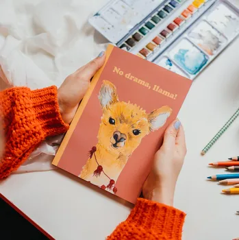 Zápisník ePipí Zápisník Lama A5 Listy sešitu: Linky