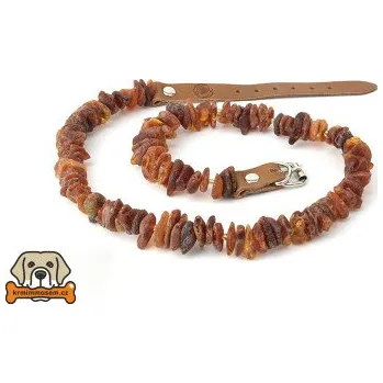 Obojek pro psa Jantarový obojek č.1 55-60 cm JO51155_K55_1