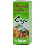 Tinktura EPAM Čaga, 50 ml přírodní doplněk stravy