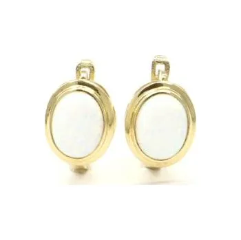 Náušnice Zlaté náušnice PATTIC AU 585/1000 3,65 gr CA227004Y