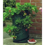 Pytel na pěstování STREND PRO 2172594