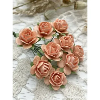 Svatební dekorace Sapaimport Růžičky midi - meruňková Množství: balení 100 ks