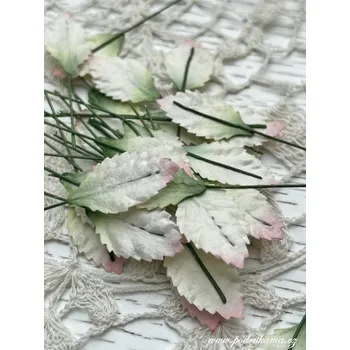 umělá květina Sapaimport Lístek s drátkem - světlý Množství: balení po 10 ks