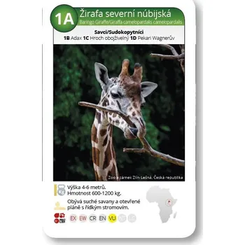 Kvarteto Karty kvarteto ZOO ohrožené druhy 2105 Hrací karty
