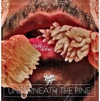 Zahraniční hudba LP Toro Y Moi: Underneath The Pine 2017