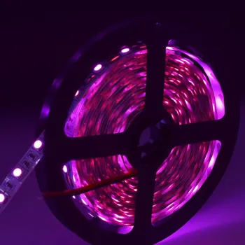 LED páska LED pásek růžová 5m SMD5050 IP20 (60led/m, 6W/m, 12V)