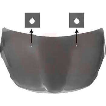 Kapota Kapota motoru VAN WEZEL 4034660