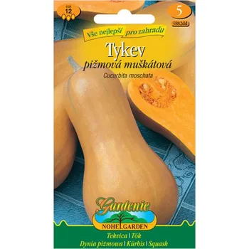 Substrát MORAVOSEED Tykev pižmová muškátová, semínka