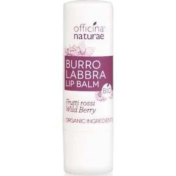 Péče o rty Officina Naturae Balzám na rty Lesní plody BIO (5 g)