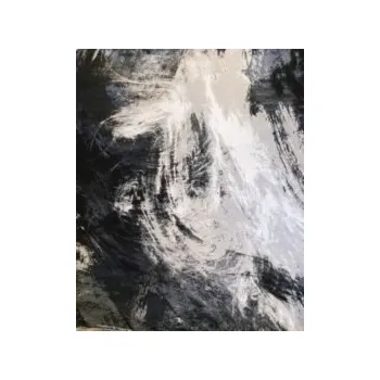 Koberec JAKS KOBEREC ARTIST ANTRACIT 25299A Rozměry: 120 x170