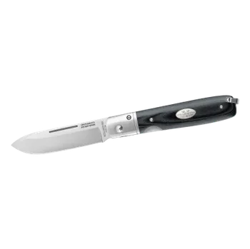 kapesní nůž Fällkniven GPbm (Black Micarta), zavírací nůž GPbm
